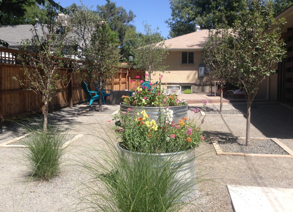 Dog Friendly Backyard Dave Johnson Landscape Architect